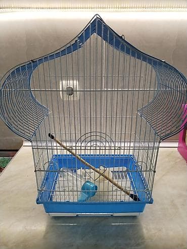 quş üçün qəfəs: Quş qəfəsi – dekorativ üst hissəli, mavi baza - Material: metal tor — 2