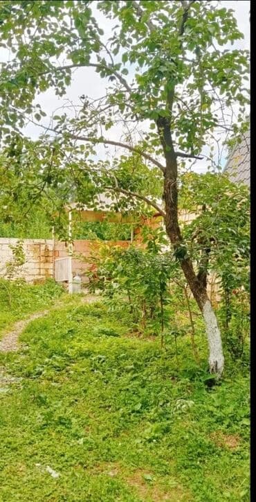 bülbülədə ucuz həyət evləri: 90 kv. m, 3 otaqlı, İnternet, Telefon, Qaz — 11