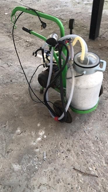 Hazır biznes: Tək bidon, Azərbaycan — 3