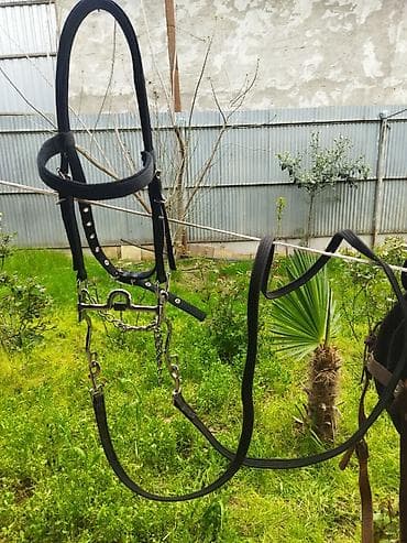 heyvan satışı: Tam dəst at avadanlığı çox az işlənmiş qiymətdə endirim olacaq — 6