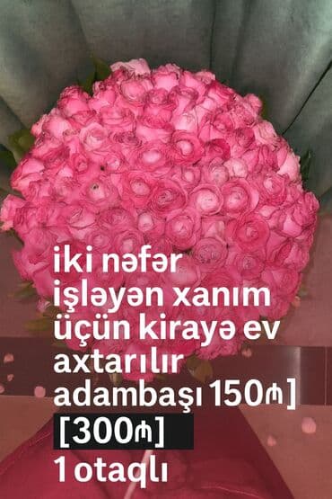 ipoteka mənzillər: Kirayə ev axtarışı elanıdır. Şəhər içi olsun - İki nəfər işləyən — 1