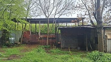 əmircanda ev: Dağ ətəyində yerləşən FERMA 2 hektar erazi iribuynuzlu ve — 7