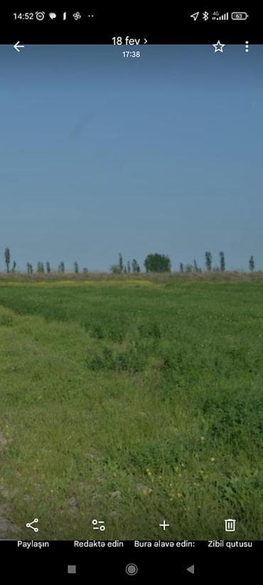 cepis satisi: 42 sot, Kənd təsərrüfatı, Makler, Kupça (Çıxarış) — 1
