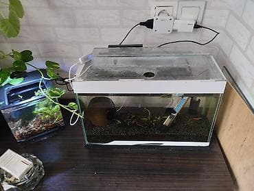 akvaryum: Akvarium 10lt grunt propant 3 kq filter selale ve ya pipo filtr — 1