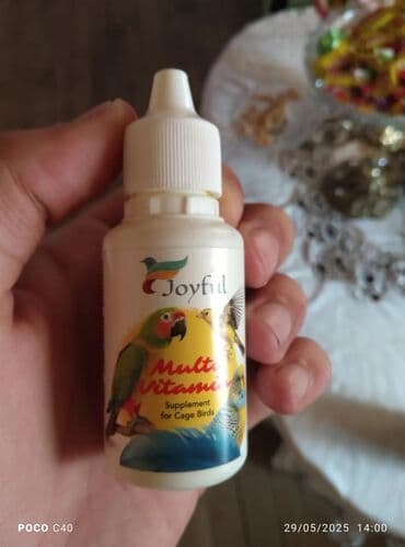 atla eşşəyin cütləşməsi: Bala korellalar yalniz zeng vitaminli — 8