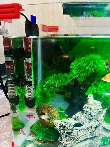 Собаки: Прямоугольный аквариум, Вместе с рыбами, 40 л — 2