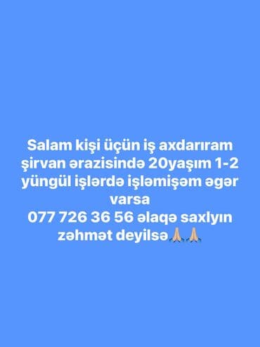 Inzibati heyət: Digər ixtisaslar — 1