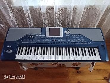 İdman və istirahət: Sintezator, Korg — 2