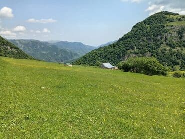 bakı tikiş evi əlaqə nömrəsi: 50 sot, Mülkiyyətçi, Kupça (Çıxarış) — 8