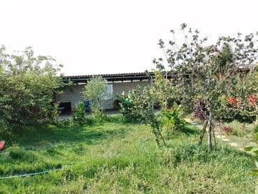 masazirda heyet evleri 2023: Həyət evləri və villaların satışı — 16