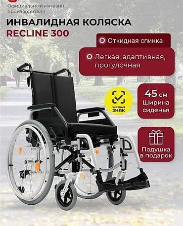 Məhsul: Manual əlil arabaları – RECLINE 300 və BASE 450 RECLINE 300