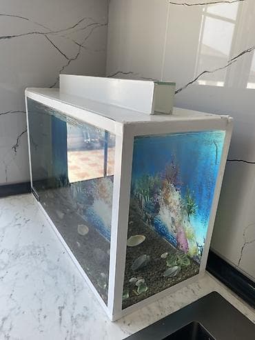akvarium altligi: Dördbucaq akvarium, Boş, 15 l, Ünvandan götürmə — 2