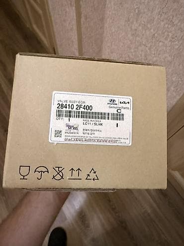 Nəqliyyat: Hyundai/Kia orijinal ehtiyat hissəsi – EGR klapan komplekti (VALVE — 2