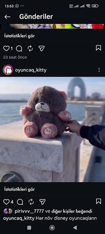 Məhsul: Yumşaq plyuş oyuncaqlar kolleksiyası - Mövzu: sevimli — 4