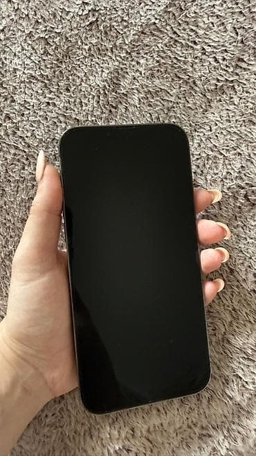 iphone 15 pro maxs: IPhone 13 Pro Max, 128 GB, Space Gray — 2