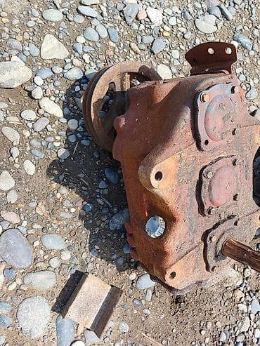 badam yağı: Redukdur her nox var — 3