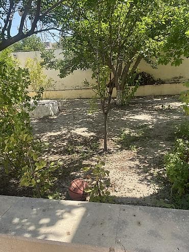 Avqust ayı üçün Novxanıda kirayə bağ evi. Murad Marketə yaxın