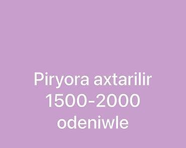 Piryora axtarilir 1500.2000 arasi ilkin odeniwle kimde varsa atsin