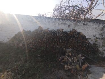 yeni il ağacı: Odun – qarışıq ağac növləri - Kəsilib doğranmış odun yığınları - — 1