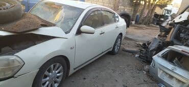 Əyləc diskləri: Nissan Teana J31 üçün orjinal ehtiyat hissələri var