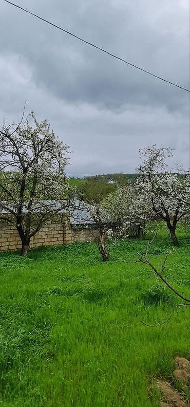 cıdır düzü: 12 sot, Tikinti — 10
