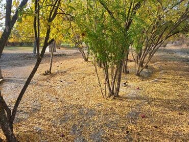 ismayılı: 🏡 Satılır: 2 mərtəbəli həyət evi – Ağsu rayonu, Ərəbmehdibəy kəndi 📍 — 12