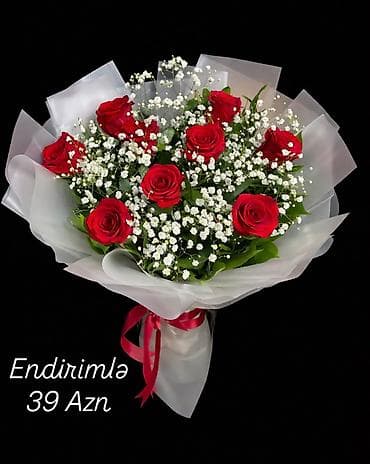 kaktus gülü: 8 Mart üçün xüsusi gül kompozisiyası – şəffaf kvadrat qutuda qırmızı — 10