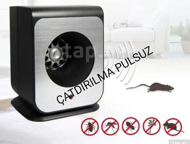 Siçan qovan, Pulsuz çatdırılma