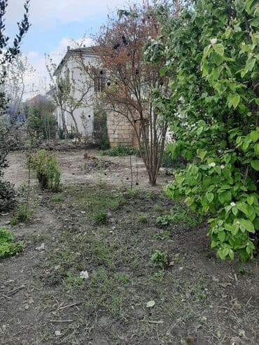 объявления о продаже земельных участков: 5 sot, Mülkiyyətçi, Kupça (Çıxarış) — 3