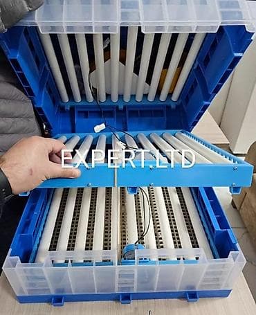 Kənd təssərüfatı avadanlığı: 300 yumurta, Çin, Fabrik istehsalı, Tam avtomat, Bütün növ quşlaq üçün — 8