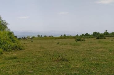купить квартиру в ленкоране: 75 sot, Biznes üçün, Mülkiyyətçi, Kupça (Çıxarış) — 3