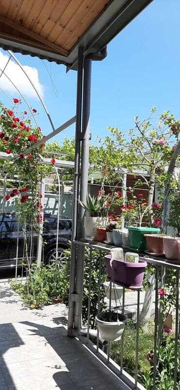 дом в ивановке: Вишневка 6 комнат, 220 м², Нет кредита, Свежий ремонт — 29