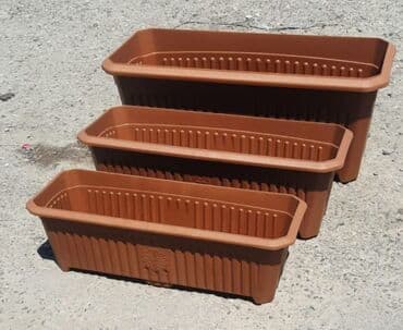 орхидея баку: Dibcek kvadrat duzbucaqli bitkilər üçün dibçəklər Dibcekler — 10