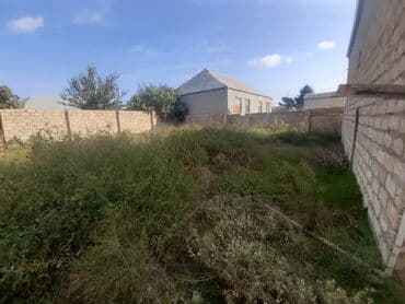 qobuda torpaq satilir 2025: 2 sot, Tikinti, Mülkiyyətçi, Bələdiyyə — 2