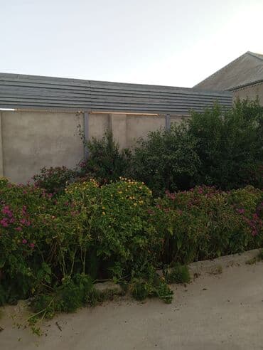 Lamborghini: 4 otaqlı, 2000 kv. m, Kredit yoxdur, Orta təmir — 3