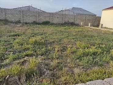 Mənzillər: 10 sot, Tikinti, Mülkiyyətçi, Kupça (Çıxarış) — 6