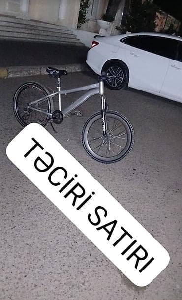 BMX tipli velosiped - Rəng: boz/gümüşü gövdə, qara detallar -