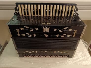 Спорт и отдых: Акустический Аккордеон — 5