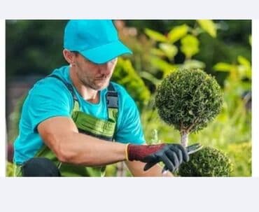 Digər tikinti xidmətləri: Bağ və ya həyət üçün peşəkar landşaft xidmətləri - Ağac və kolların — 1