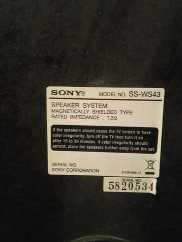 dinamik pioner: Yeni Sony Kolonka, Növ - Sabvufer, rəng - Gümüşü — 16