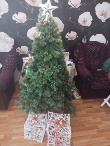 Yolka işıqları: Elka — 1