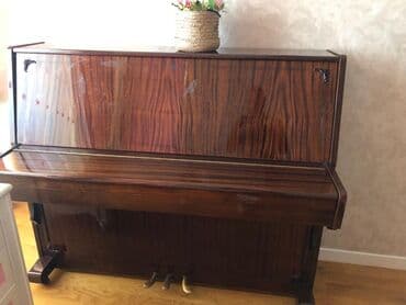 Velosiped ehtiyyat hissələri: Piano, Belarus, Akustik, İşlənmiş — 2