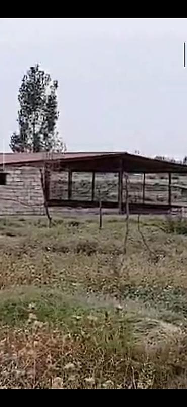 Metal fermalar: Ferma və təsərrüfat kompleksi - Heyvandarlıq üçün tikililər: uzun — 1