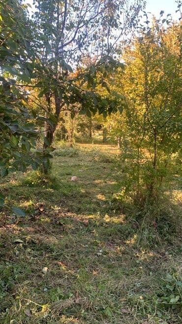 bakixanov kiraye ev: 6 otaqlı, 1700 kv. m, Təmirsiz — 13