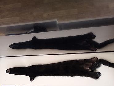 Kürklər: Kürk, L, rəng - Gümüşü — 2