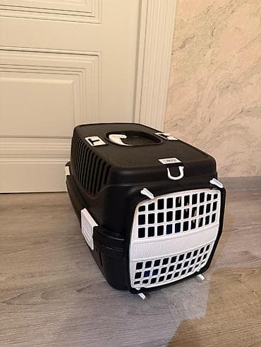 pişik eşyaları: Britan — 6