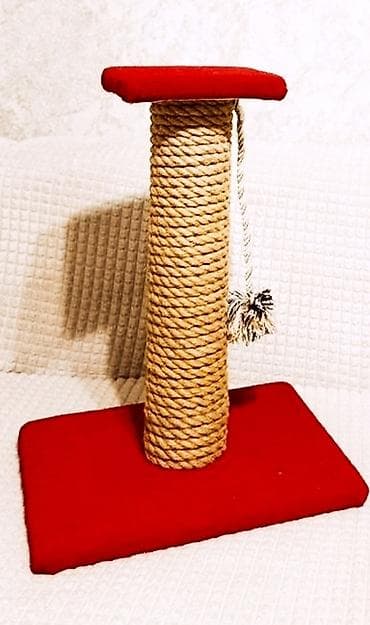 ideal mebel: 🐾Pişiklər üçün Dırnaqitiləyən - Yeni və keyfiyyətli! Evində pişik — 4