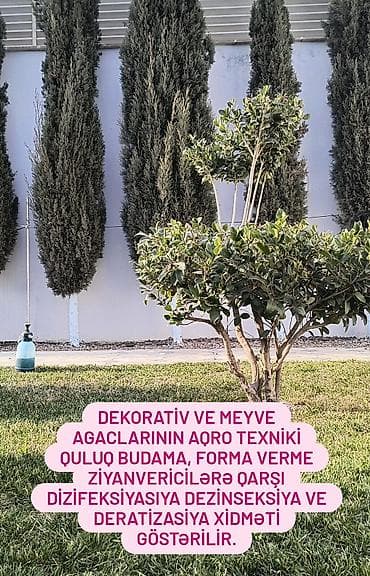 Услуги мастеров по дверям: Aqranom Xidməti – bağ və təsərrüfat üçün professional aqrotexniki — 5