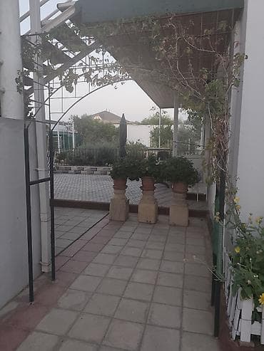 metal ferma: Arka bağ üçün Metall bağ arkası və sarmaşıq üçün konstruksiyalar - — 1