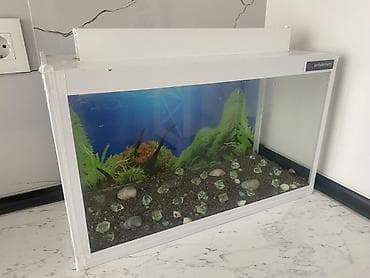 gence akvarium: Dördbucaq akvarium, Boş, 20 l, Ünvandan götürmə, Ödənişli çatdırılma — 4